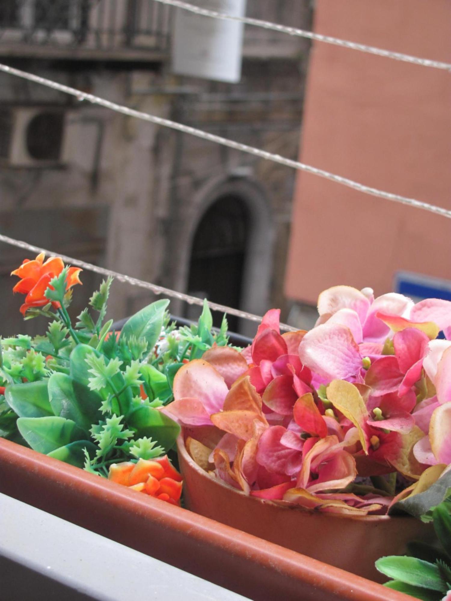 La Conchiglia Napoli Apartment Exterior photo
